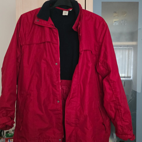 Cotton traders men red - cotton, men’s
